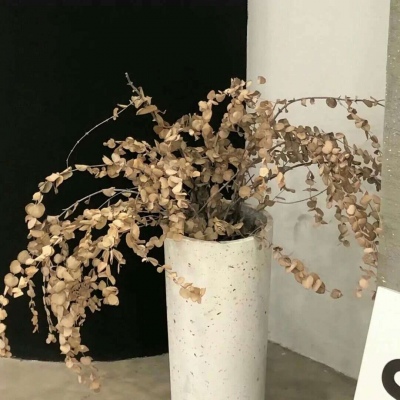 Furry插画光影处理FurryQQ群